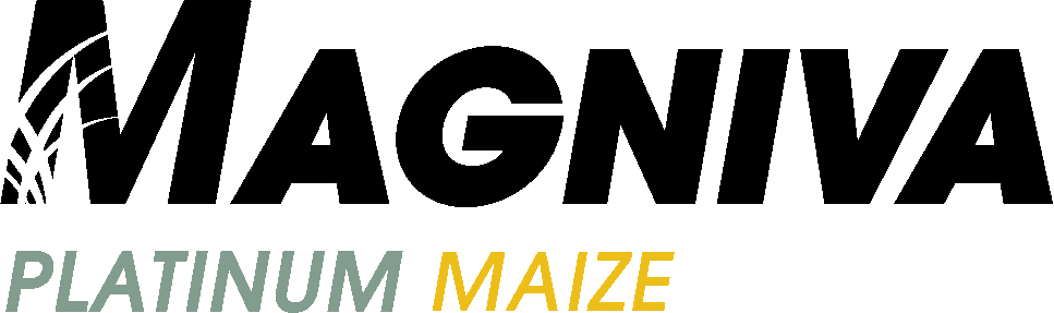 AVOID COSTLY MAIZE LOSSES THIS  AUTUMN BY CAREFUL MANAGEMENT