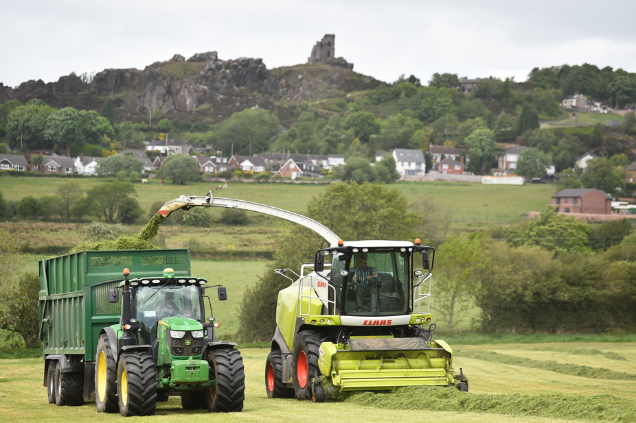 How to Optimise Silage this Season